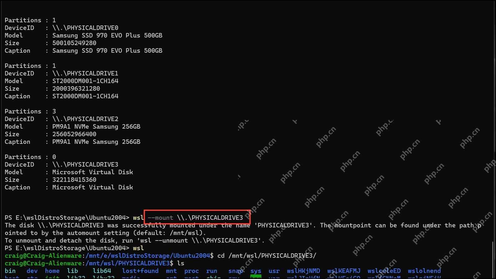 管理员 PowerShell 对物理盘执行 wsl mount 后在 WSL 查看目录