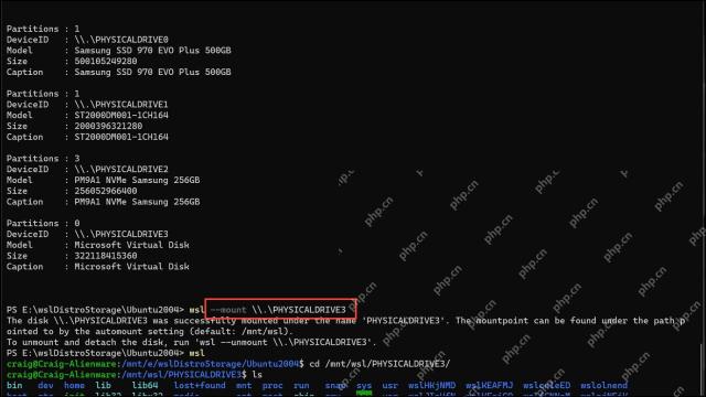 管理员 PowerShell 对物理盘执行 wsl mount 后在 WSL 查看目录