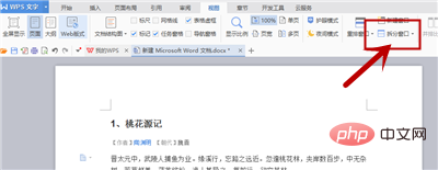 Word の分割画面に 2 つの文書が表示される