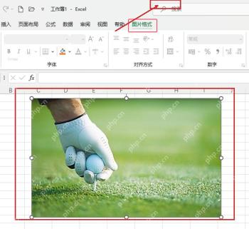 Excel 选中工作表图片后出现图片格式选项卡和图片控制点