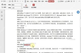如何设置PDF文档中的批注字号?中间操作