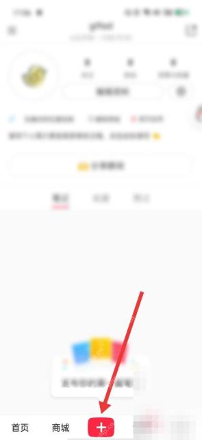 小红书首页底部加号入口,用于开始发布视频作品
