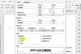 如何在文档中设置双删除线?设置效果