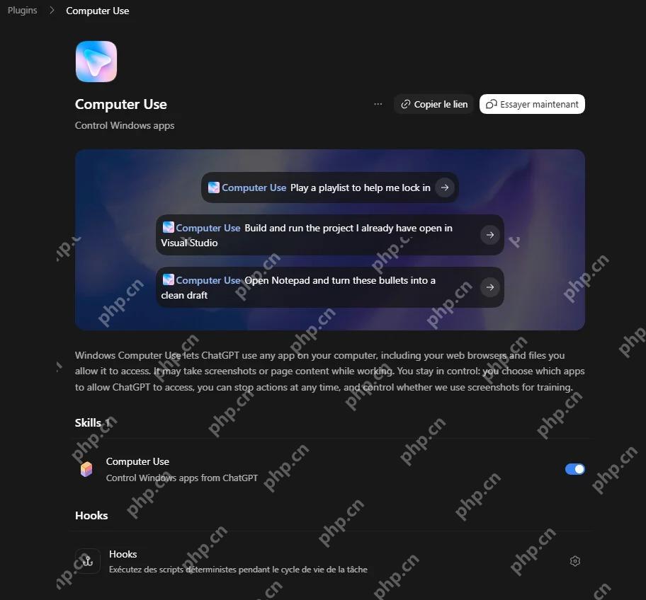 ChatGPT Computer Use插件真实设置
