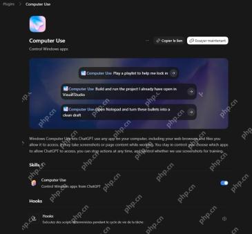 ChatGPT Computer Use插件真实设置