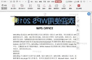 如何翻转PDF文件中的图片?结果检查