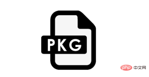 What file is pkg