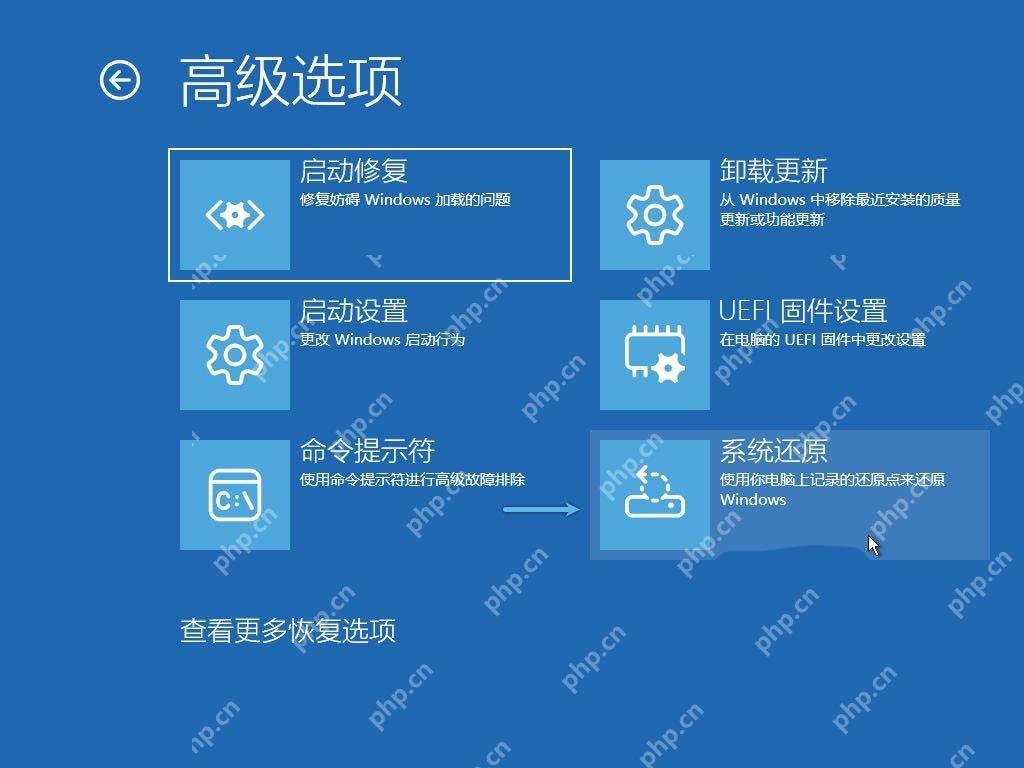 Win11恢复环境高级选项中包含启动修复和命令提示符