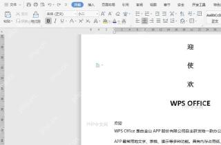 如何恢复误撤销的文档操作？