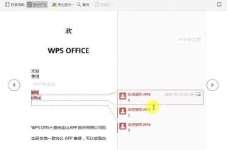 在文档阅读版式中如何显示批注？结果检查