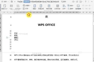 如何在文档添加行号时禁用于当前行号？结果检查