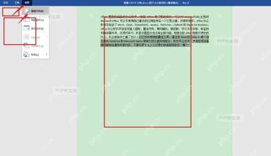 Word 文件菜单和浅绿色页面效果用于确认设置已生效