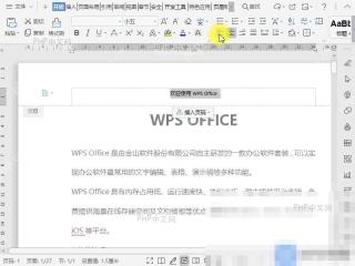 在 WPS 文字中双击进入页眉编辑状态
