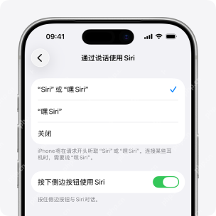 iPhone 通过说话使用 Siri 页面显示 Siri 或嘿 Siri 嘿 Siri 和关闭选项