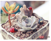 1626926214578330.png How to achieve opacity gradient in css