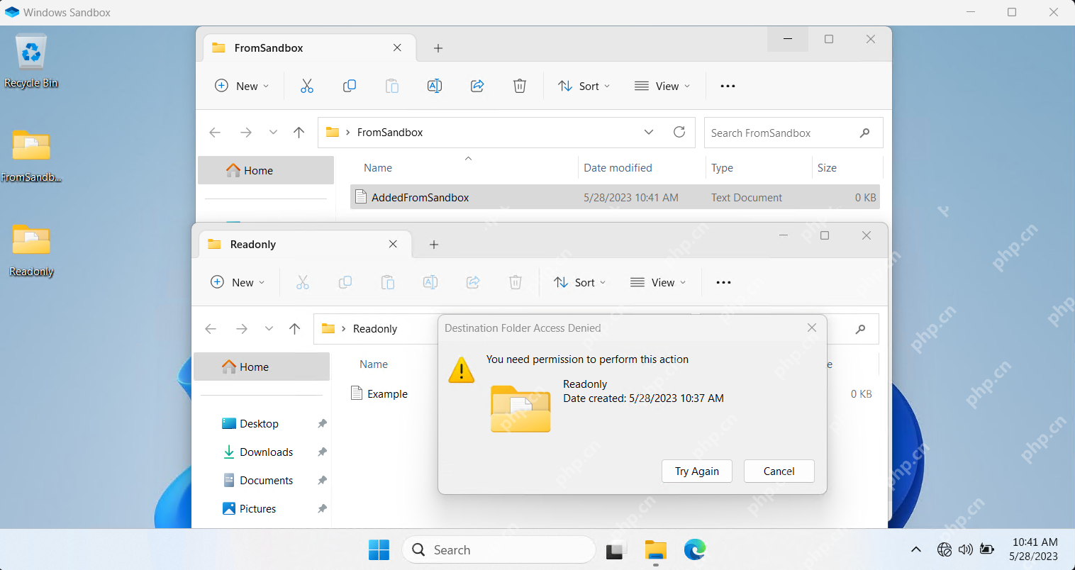 Windows Sandbox 桌面中显示 FromSandbox 和 Readonly 映射文件夹