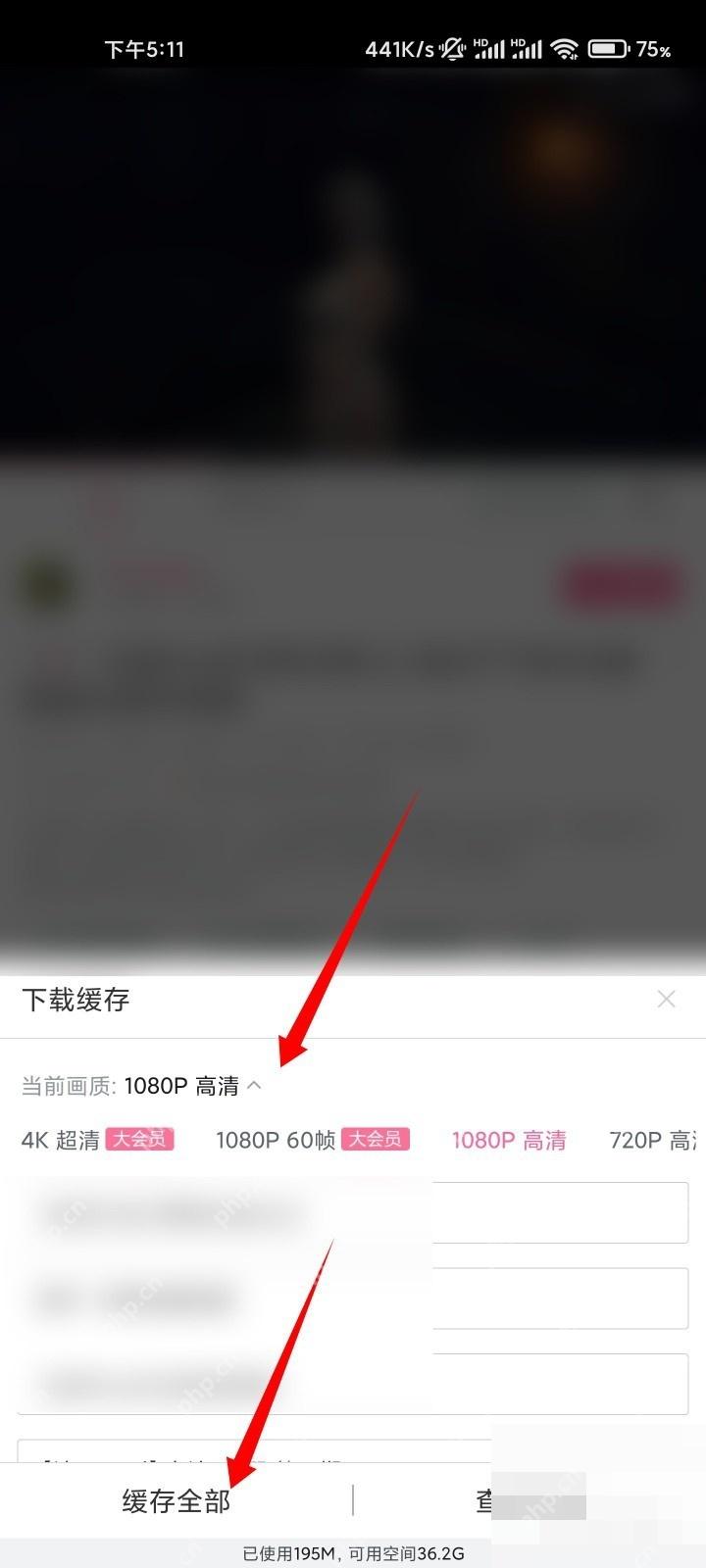 哔哩哔哩缓存页面里的清晰度选项