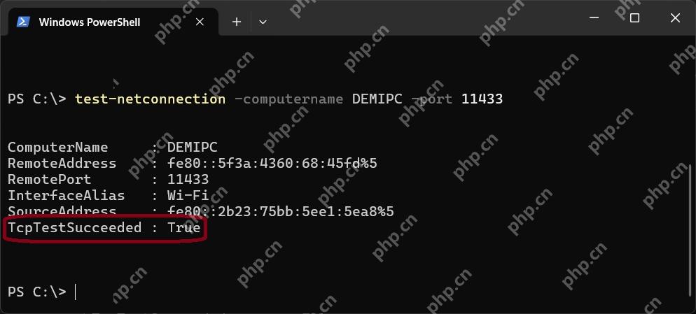 Windows 11 对指定主机和端口发起测试的真实界面截图