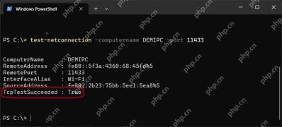 Windows 11 对指定主机和端口发起测试的真实界面截图