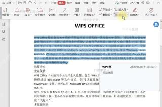 如何设置PDF文档中替换符的颜色？设置效果
