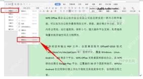 WPS文字菜单中打开查找替换并进入替换面板
