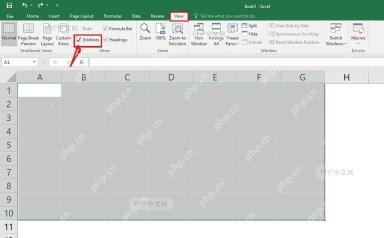 Excel 视图选项卡中显示网格线复选框已勾选,工作表区域可见浅灰网格线