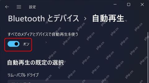 Win11 自动播放页为可移动驱动器设置默认动作