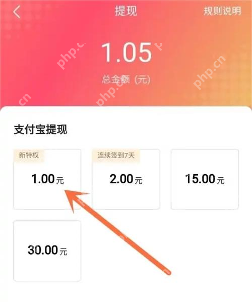 提现金额页面