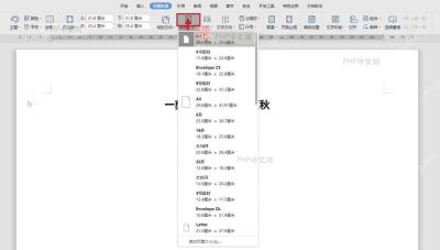 WPS 文字页面布局功能区中纸张大小按钮被标出，用于展开纸型列表