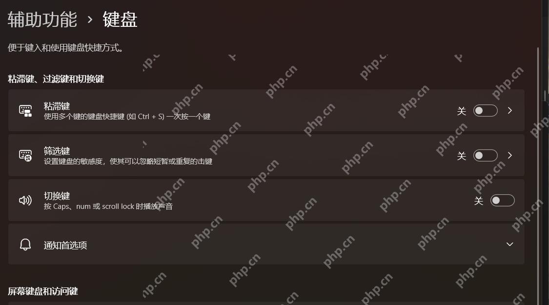 Win11 辅助功能键盘页面中找到筛选键