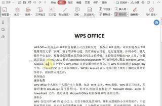 如何自定义PDF文档中替换符的颜色?结果检查