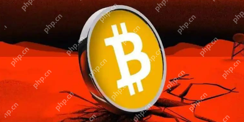薄饼交易平台全球排名第几？ - php中文网