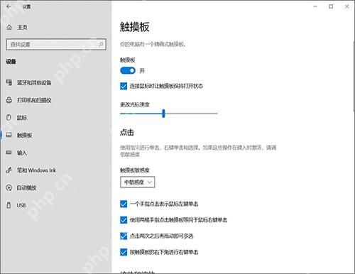 Win11 触摸板点击设置页显示单指轻点单击复选框