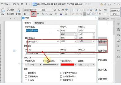 WPS 文档中目标文字已经添加下划线,用于确认线型范围