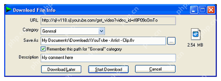 IDM Download File Info 窗口显示 URL、分类、保存路径和开始下载按钮。