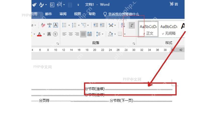 Word 文档中显示分节符标记,用于确认分隔符插入位置
