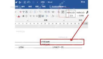 Word 文档中显示分节符标记，用于确认分隔符插入位置