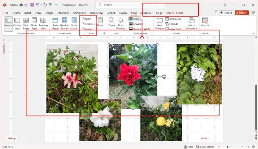 PowerPoint 图片格式选项卡中整理多张图片对齐和分布