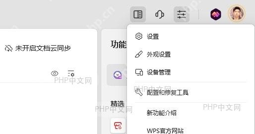 检查WPS版本信息界面