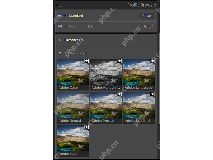 Lightroom Classic Windows 版英文配置文件浏览器中显示 Adobe Raw 和收藏夹分组