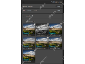 Lightroom Classic Windows 版英文配置文件浏览器中显示 Adobe Raw 和收藏夹分组