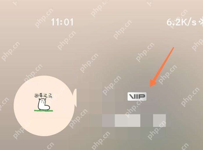 剪映中文手机App个人页面显示VIP入口并用橙色箭头标出,证明可进入会员信息页面