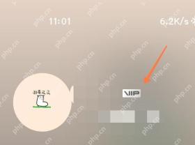剪映中文手机App个人页面显示VIP入口并用橙色箭头标出，证明可进入会员信息页面