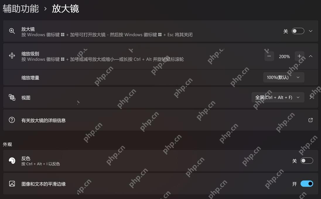 Win11 辅助功能放大镜页面打开放大镜开关