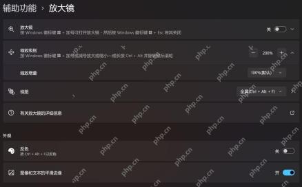 Win11 辅助功能放大镜页面打开放大镜开关