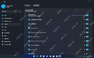 Win11 中文任务栏设置中列出其他系统托盘图标开关