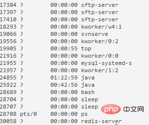 How to check the installation path of a service in Linux