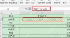 WPS 表格身份证号单元格生成 18 个空心方格结果