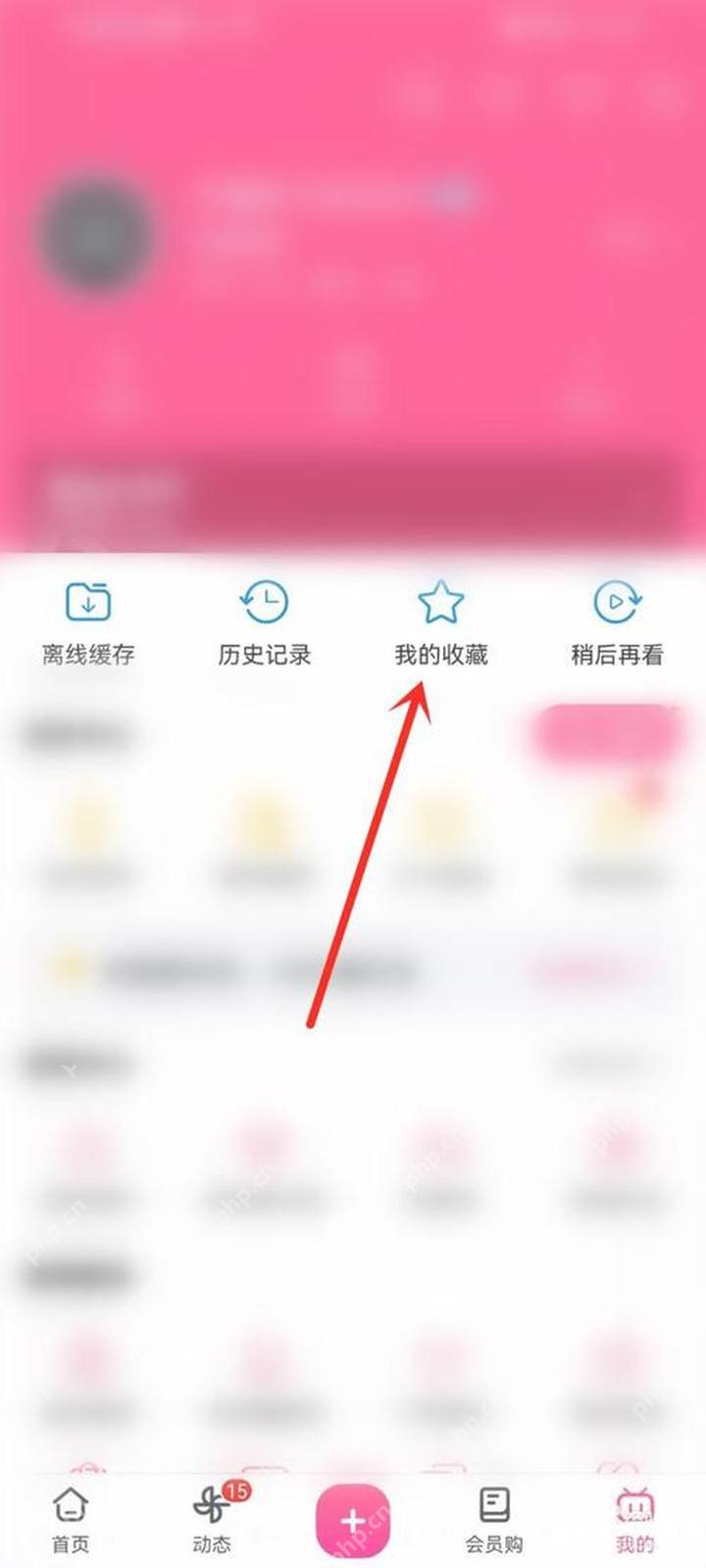 在我的页面打开哔哩哔哩我的收藏