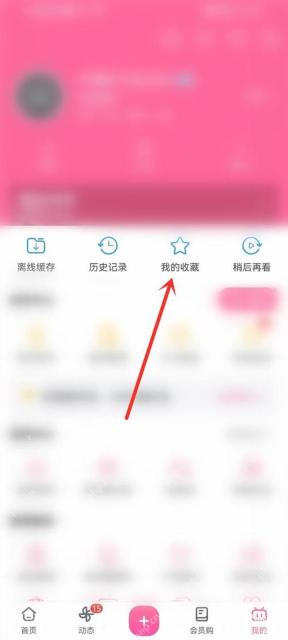 在我的页面打开哔哩哔哩我的收藏
